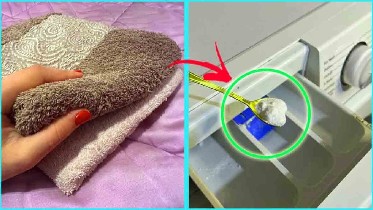 Voici le secret pour que votre linge dure plus longtemps dans la machine à laver. les recettes